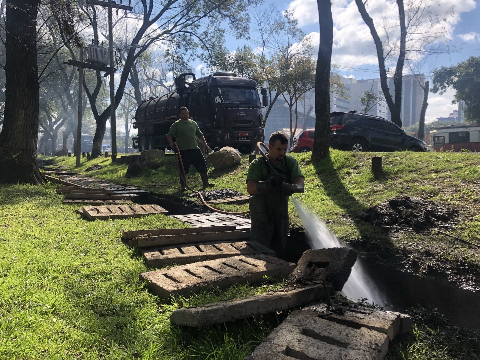 Pest Control in Porto Alegre: Pests, Drains and Sewage Problems