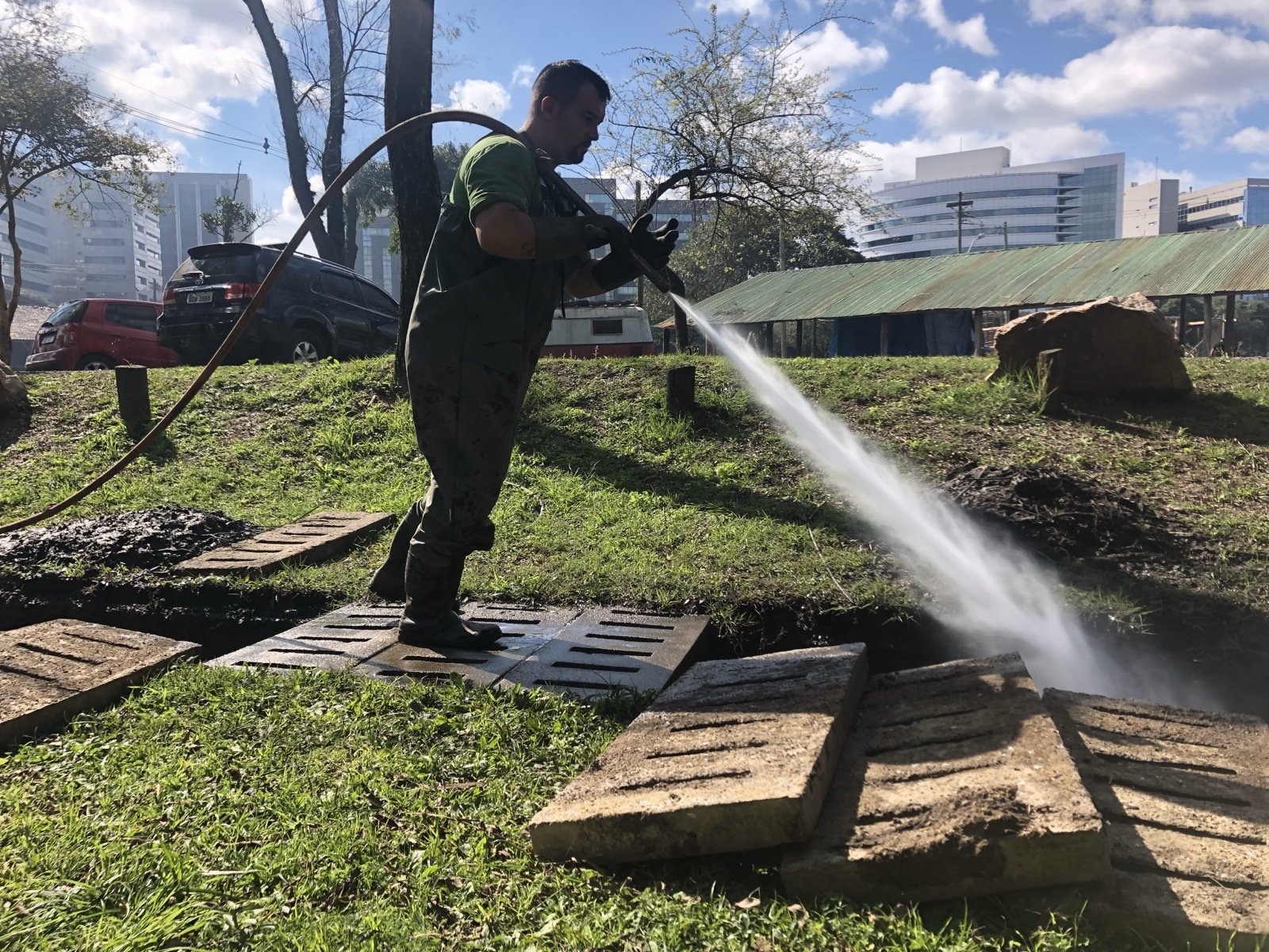 Control de plagas en Porto Alegre: desagües y problemas de alcantarillado